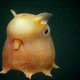 Illustration for article titled 12 Real Animals We Cant Believe Arent Pokémon